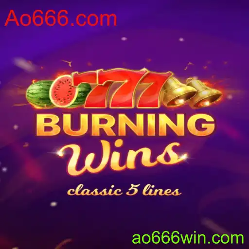 BurningWins